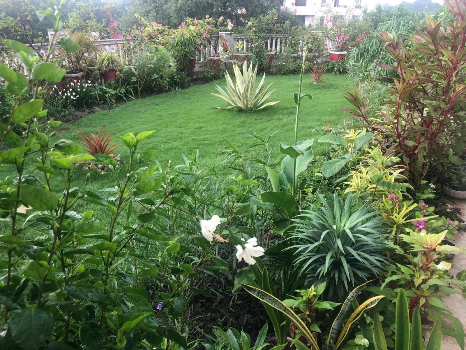 Mulberry Garden Guest house *